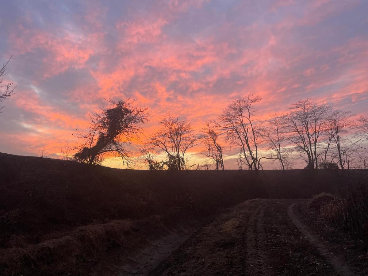 Appartamento Le Risaie Vercelli Bagian luar foto